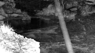 Still 2 from this detection
