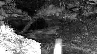 Still 3 from this detection