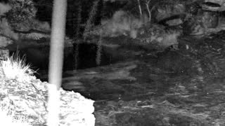 Still 3 from this detection