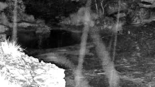 Still 2 from this detection