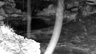 Still 2 from this detection