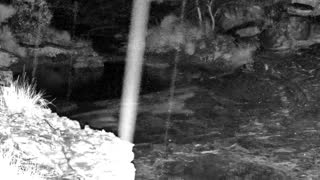 Still 1 from this detection