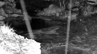 Still 2 from this detection