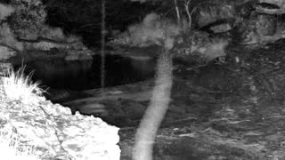 Still 1 from this detection