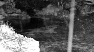 Still 3 from this detection