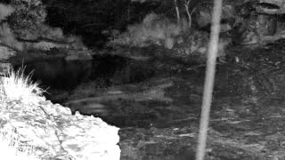 Still 2 from this detection