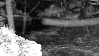 Still 3 from this detection