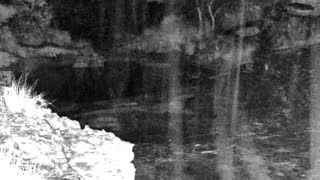 Still 1 from this detection