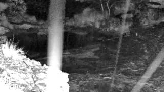 Still 3 from this detection