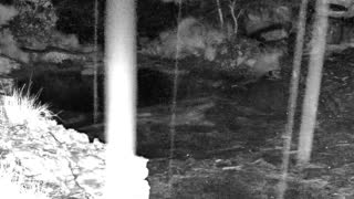 Still 3 from this detection