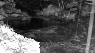 Still 1 from this detection