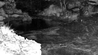 Still 3 from this detection