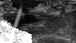 Still 3 from this detection