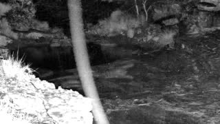 Still 2 from this detection