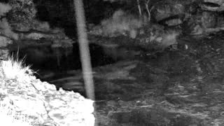 Still 2 from this detection