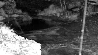 Still 2 from this detection
