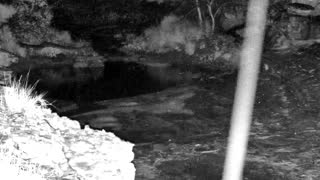 Still 1 from this detection