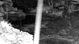 Still 3 from this detection