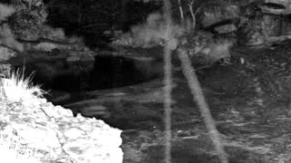 Still 2 from this detection