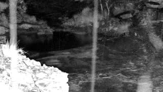 Still 1 from this detection