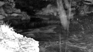 Still 3 from this detection