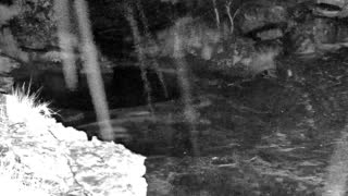Still 3 from this detection