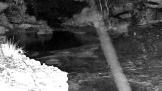 Still 2 from this detection
