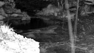Still 3 from this detection