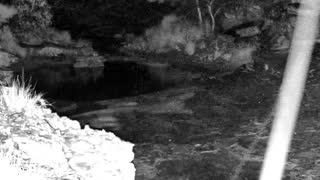 Still 1 from this detection