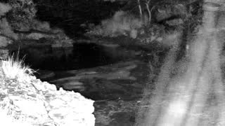 Still 1 from this detection