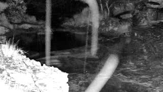 Still 1 from this detection