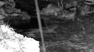 Still 3 from this detection