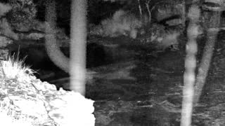 Still 3 from this detection