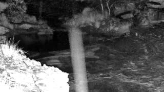 Still 1 from this detection