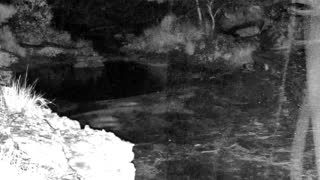 Still 2 from this detection