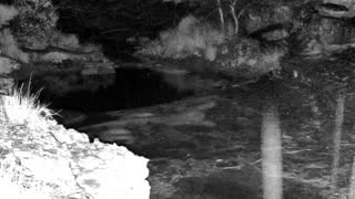 Still 1 from this detection
