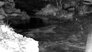 Still 2 from this detection