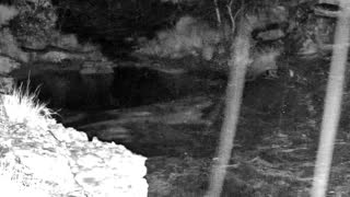 Still 3 from this detection