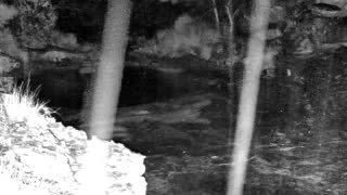 Still 1 from this detection