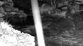 Still 2 from this detection
