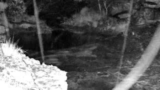 Still 3 from this detection