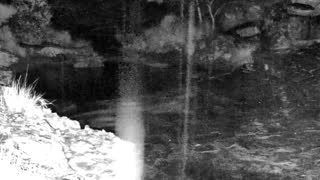 Still 1 from this detection