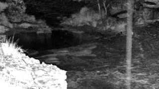 Still 3 from this detection