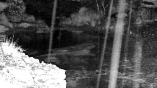 Still 1 from this detection
