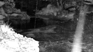 Still 2 from this detection