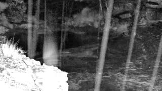 Still 1 from this detection