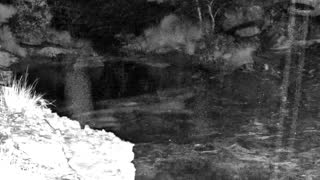 Still 3 from this detection