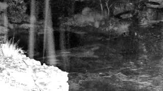Still 1 from this detection