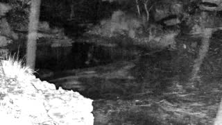 Still 2 from this detection