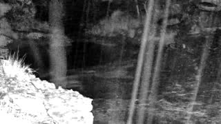 Still 3 from this detection